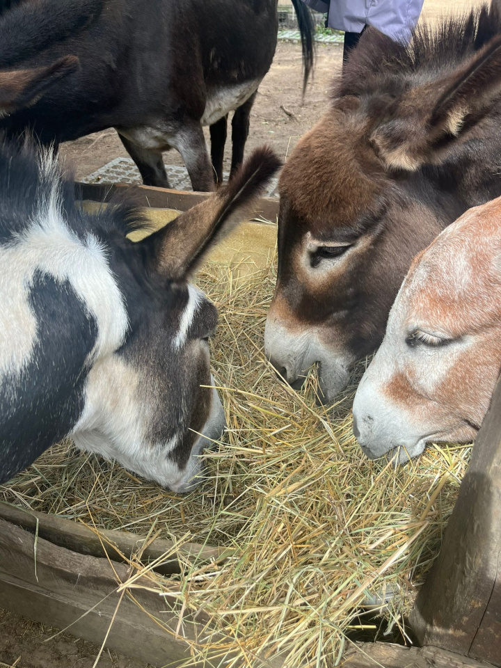 27. August 2025 Zentrum für Jugendberatung und Suchthilfe im Main-Taunus-Kreis